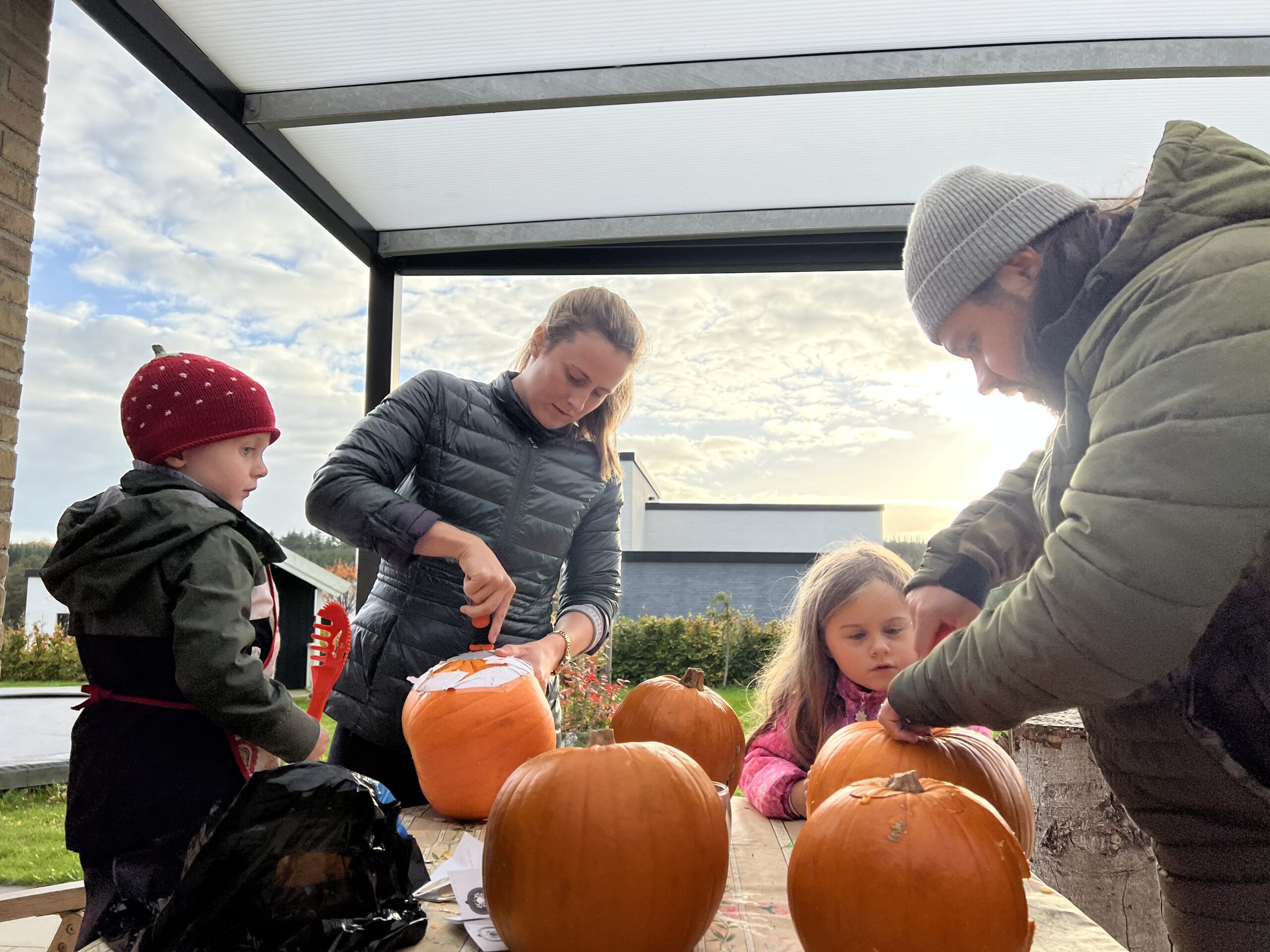Overdækket terrasse: derfor er en løsning mod huset ofte det bedste valg